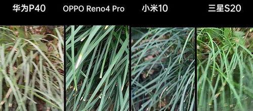 青草国产视频